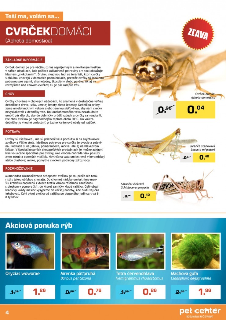 leták Pet Center Košice leták strana 4 leták Pet Center Košice leták strana 4