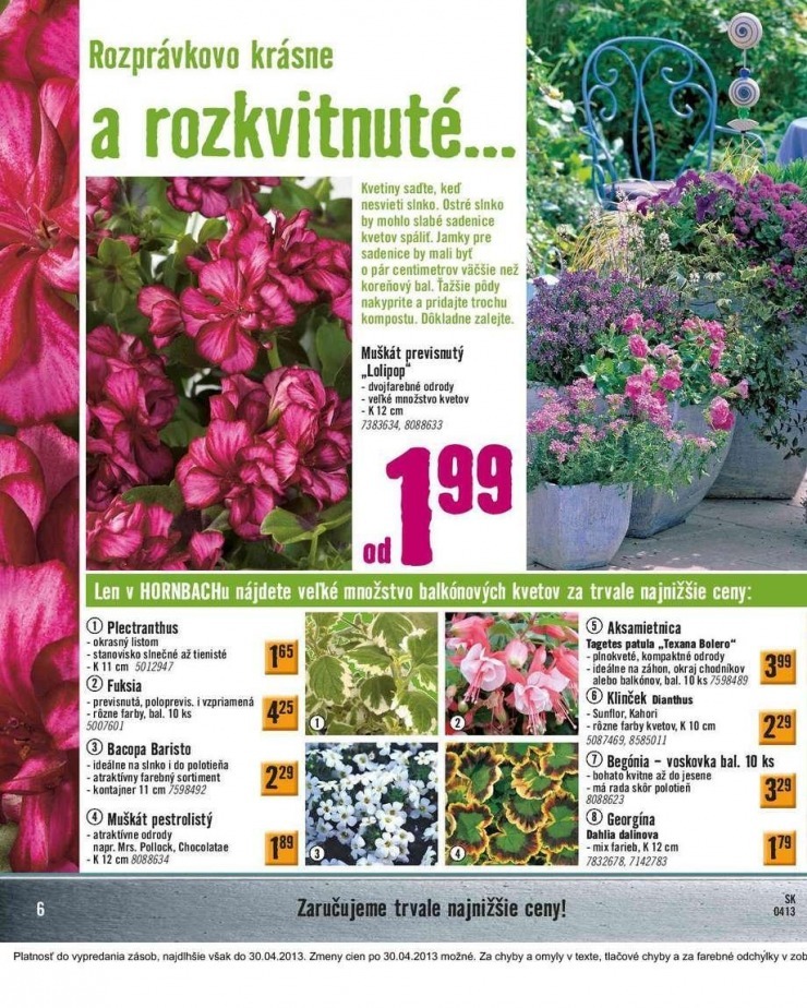 leták aktuálny katalóg HORNBACH strana 6 leták aktuálny katalóg HORNBACH strana 6