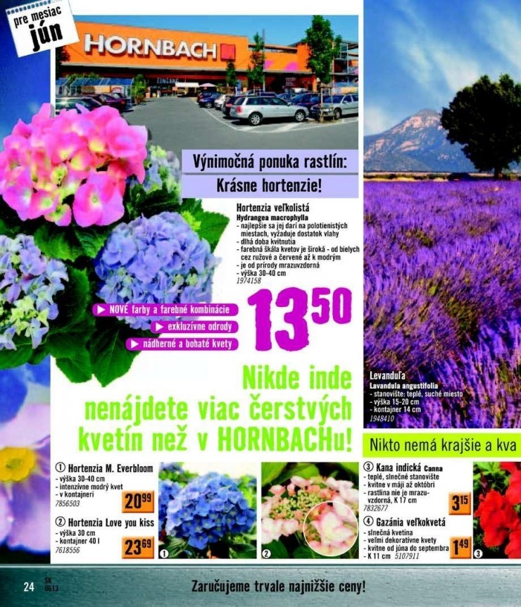 leták HORNBACH leták - podlahy strana 24 leták HORNBACH leták - podlahy strana 24