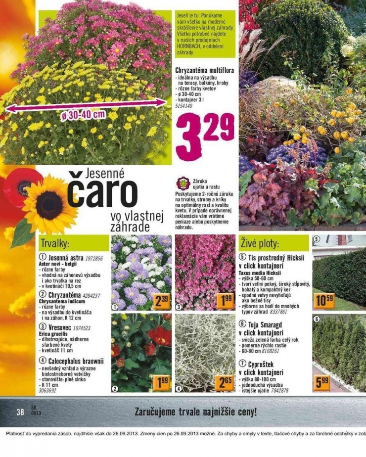 leták HORNBACH aktuálny katalog strana 38 leták HORNBACH aktuálny katalog strana 38