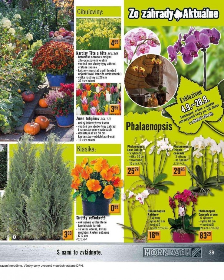 leták HORNBACH aktuálny katalog strana 39 leták HORNBACH aktuálny katalog strana 39