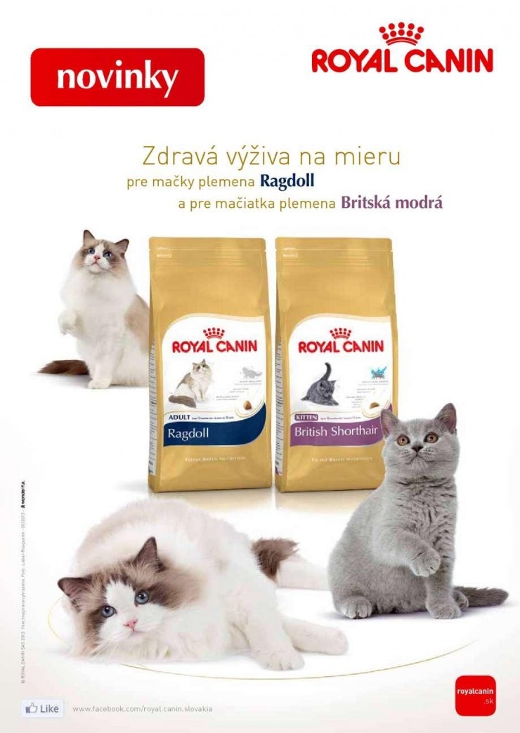 leták mimoriadný leták Pet Center strana 6 leták mimoriadný leták Pet Center strana 6