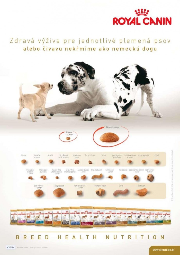 leták Pet Center špeciálna ponuka strana 8 leták Pet Center špeciálna ponuka strana 8