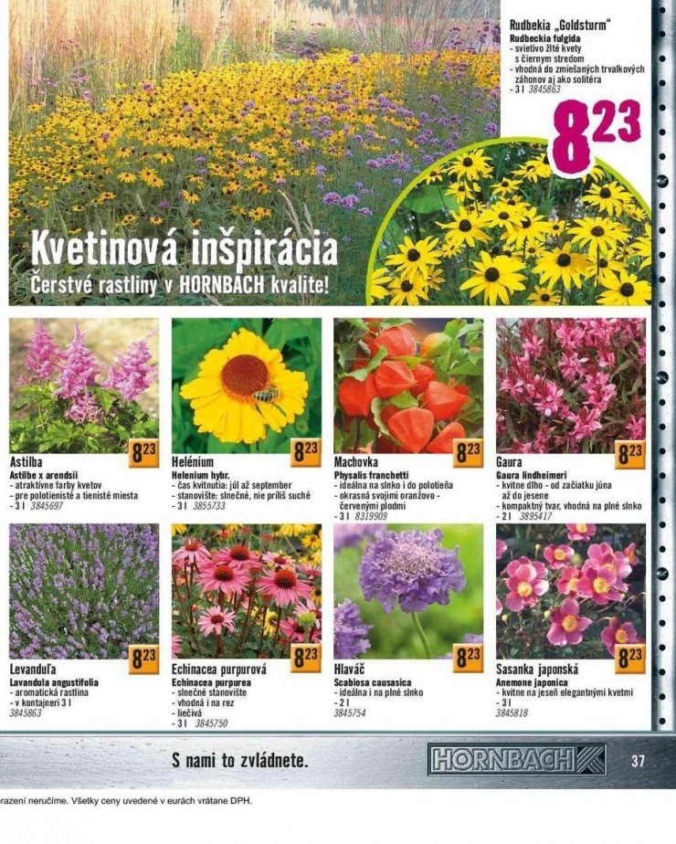 leták aktuálny katalóg HORNBACH strana 37 leták aktuálny katalóg HORNBACH strana 37