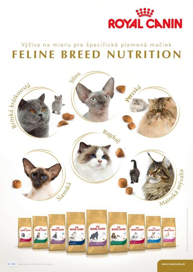 leták aktuálny leták Pet Center strana 2 leták aktuálny leták Pet Center strana 2