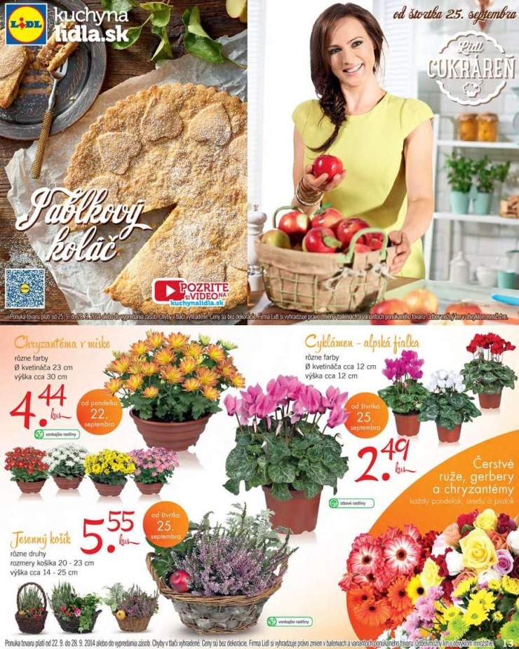leták akciový leták Lidl strana 13 leták akciový leták Lidl strana 13