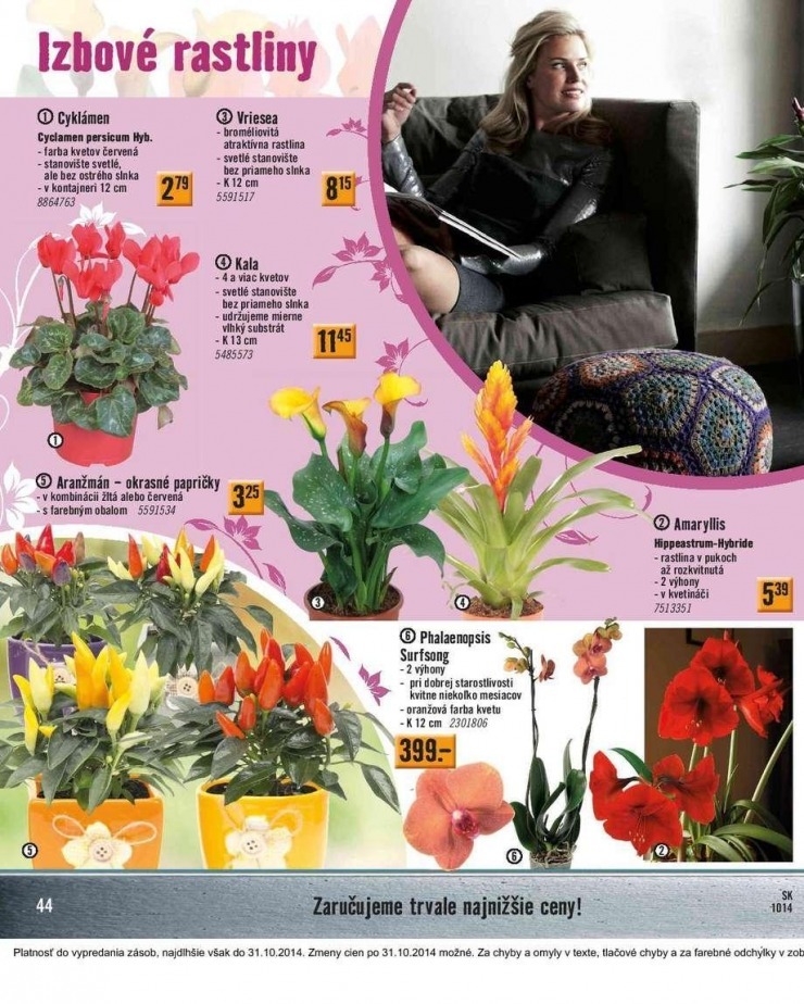leták extra ponuka HORNBACH strana 44 leták extra ponuka HORNBACH strana 44