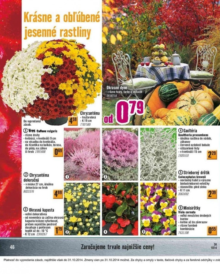 leták extra ponuka HORNBACH strana 46 leták extra ponuka HORNBACH strana 46