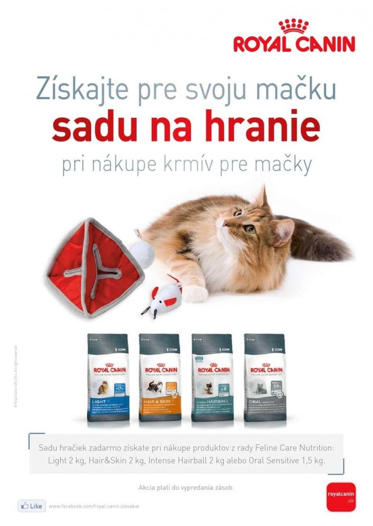 leták špeciálny leták Pet Center strana 6 leták špeciálny leták Pet Center strana 6