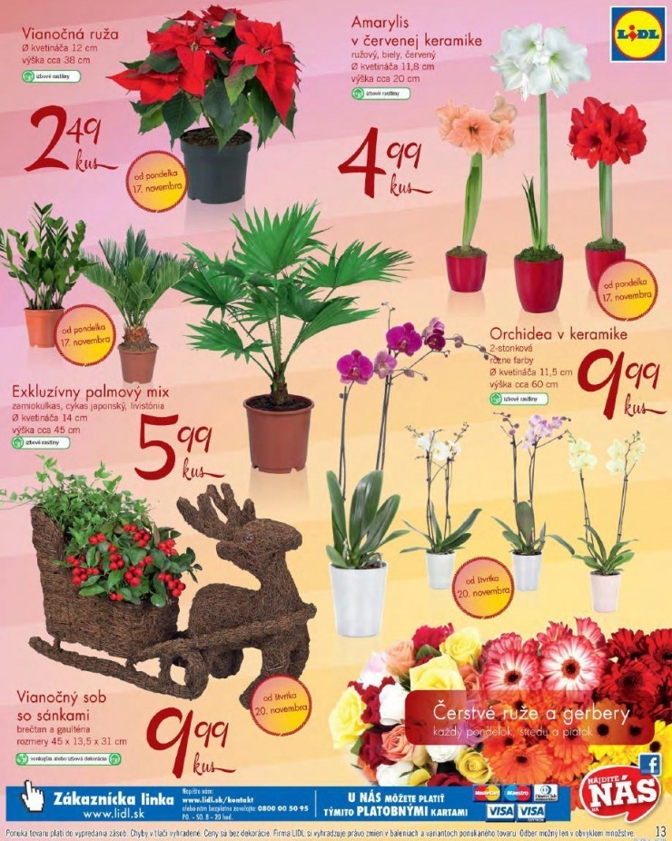 leták Lidl leták - hviezdy týždňa XXL strana 13 leták Lidl leták - hviezdy týždňa XXL strana 13