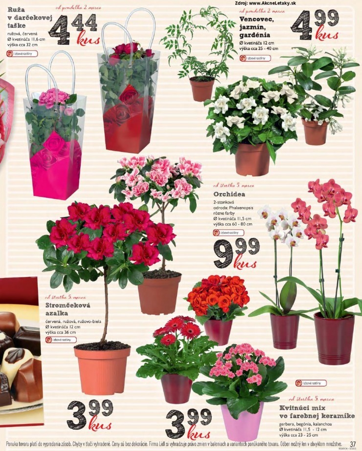 leták akčný leták Lidl strana 37 leták akčný leták Lidl strana 37
