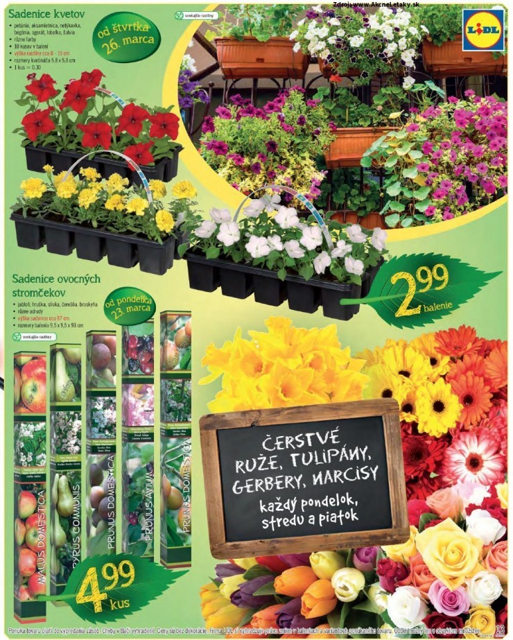 leták Lidl akciový leták strana 13 leták Lidl akciový leták strana 13