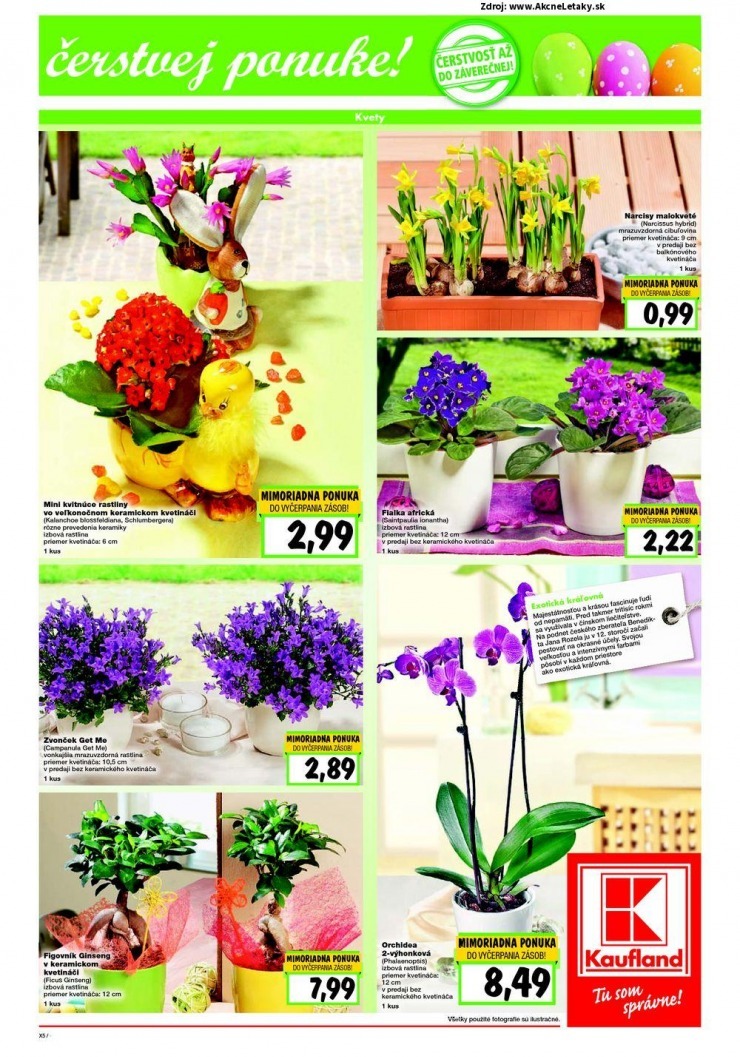 leták extra Kaufland leták - Bratislava strana 5 leták extra Kaufland leták - Bratislava strana 5
